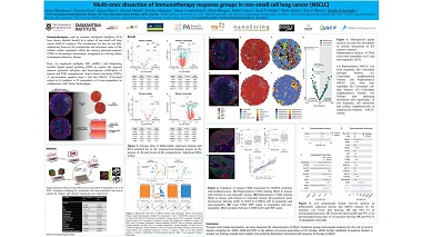 Multiomic dissection of immunotherapy response groups in lung cancer