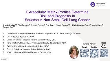 Extracellular Matrix Profiles Determine Risk and Prognosis of the Squamous Cell Carcinoma Subtype of Non-Small Cell Lung Carcinoma